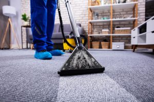 Carpet Cleaning Services